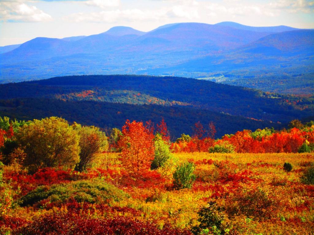 Photo: Catskills [Expires October 18 2026]
