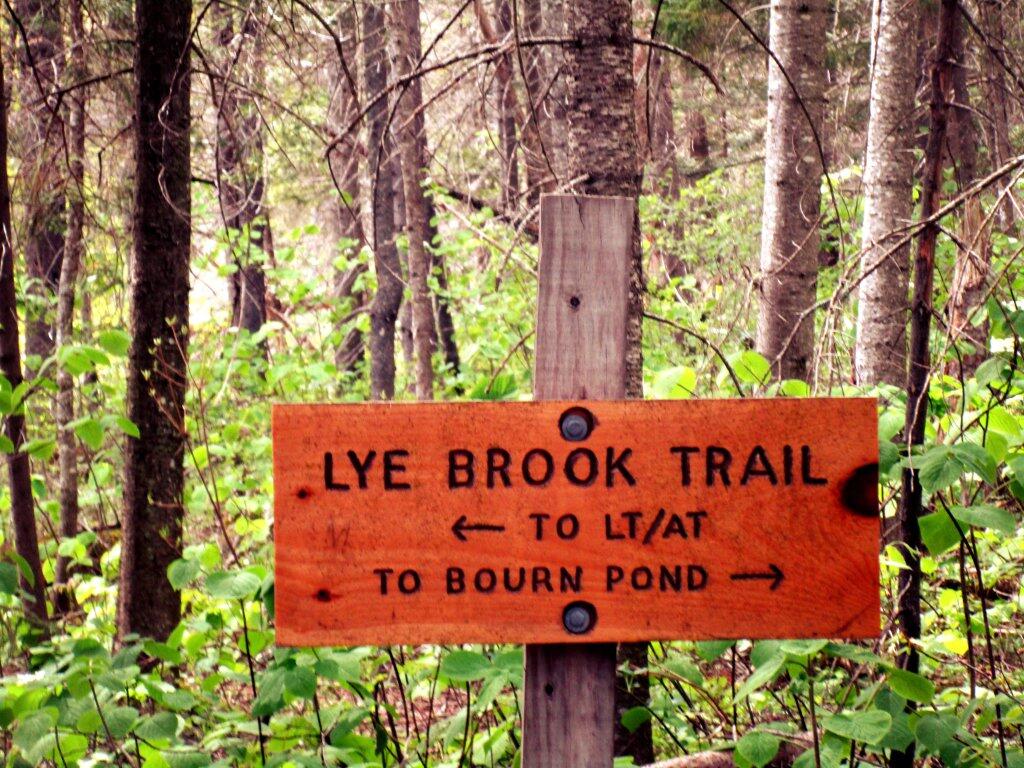 Photo: Lye Brook Trail Photo: Lye Brook Trail