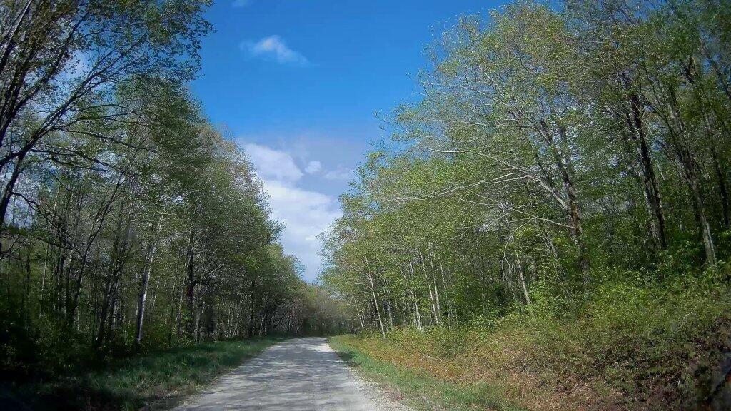 Photo: Branch Pond Road