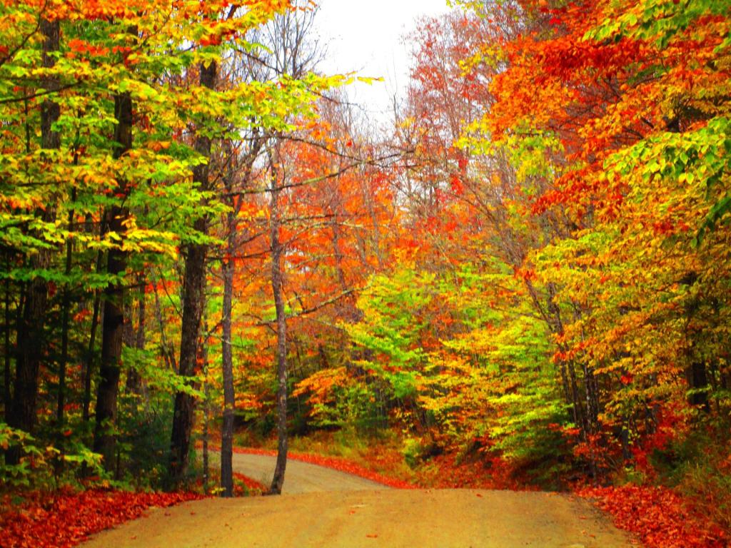 Photo: Jessup River Road [Expires October 25 2026]