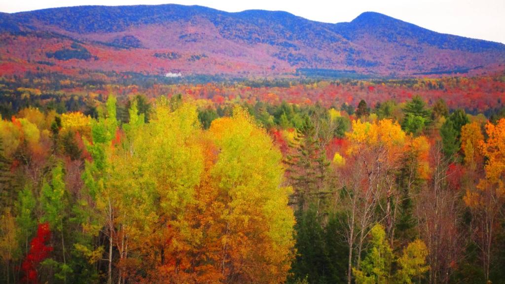 Photo: NY 30 Indian Lake Overlook [Expires October 26 2026]
