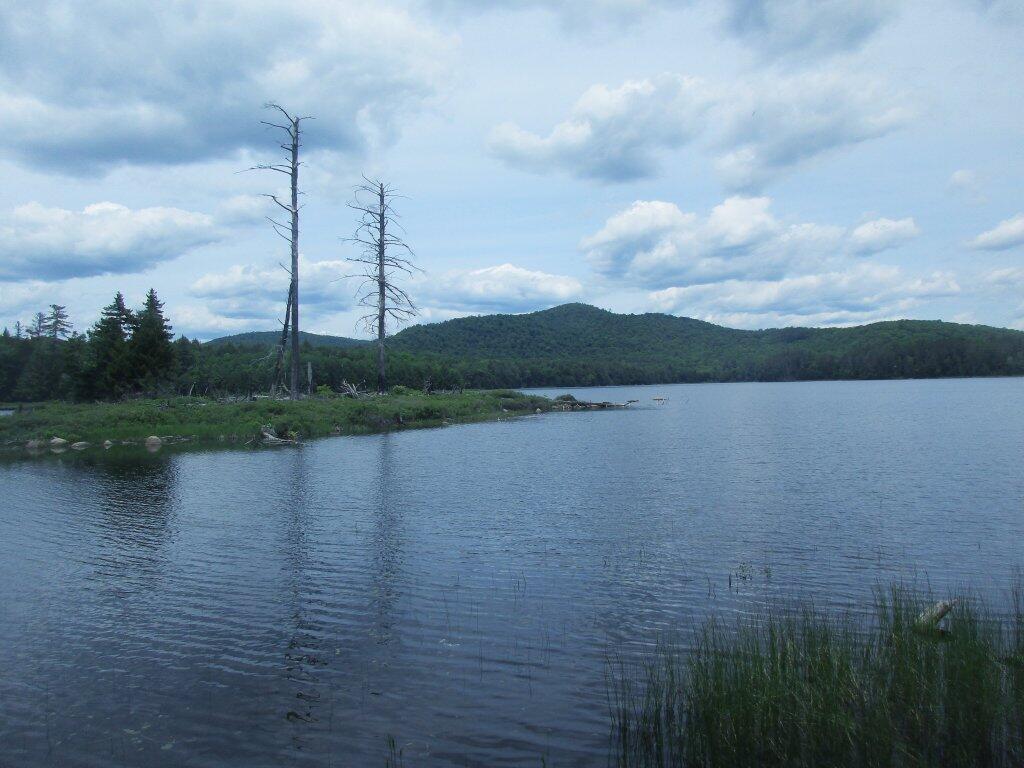 Photo: Wilcox Lake Photo: Wilcox Lake