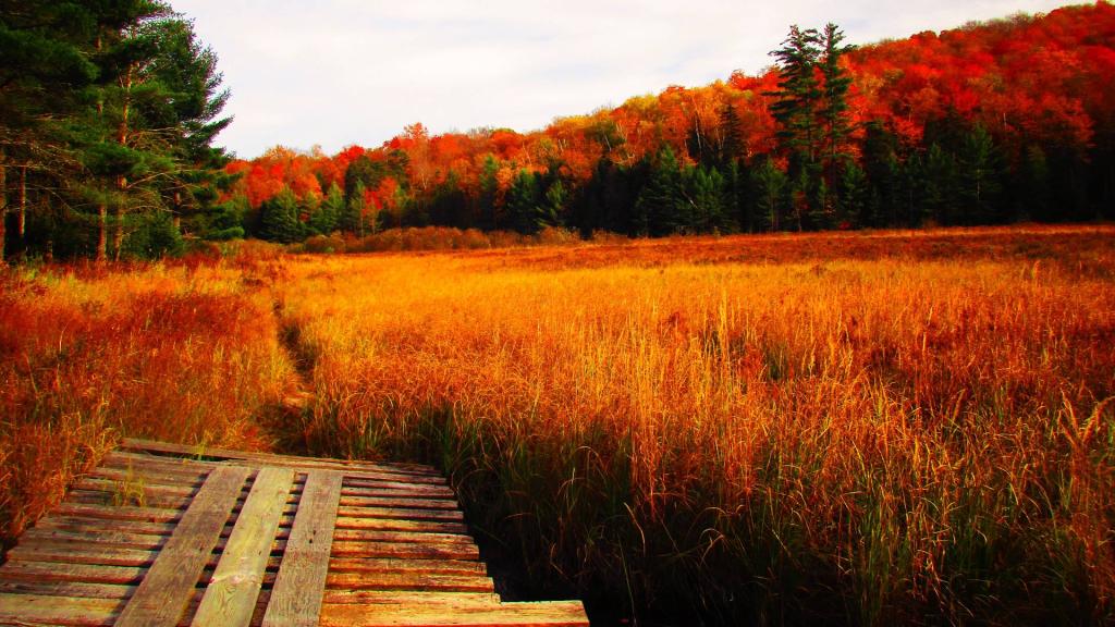 Photo: Rock Lake Snowmobile Trail [Expires October 26 2026]