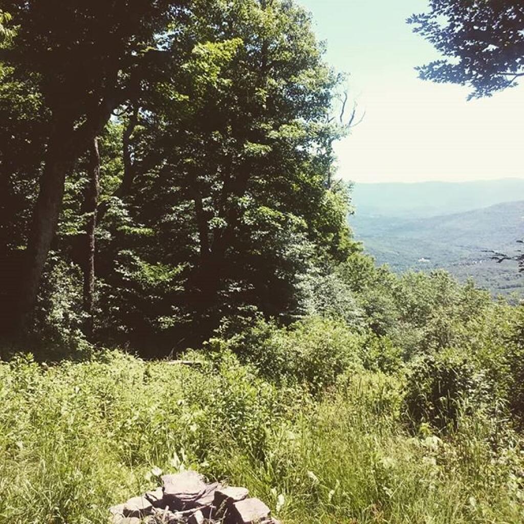 Photo: Nice view from the lean to
