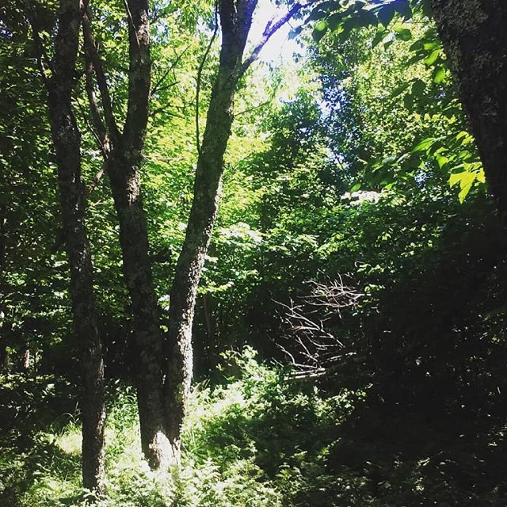 Photo: Highest point in Schoharie County Photo: Highest point in Schoharie County