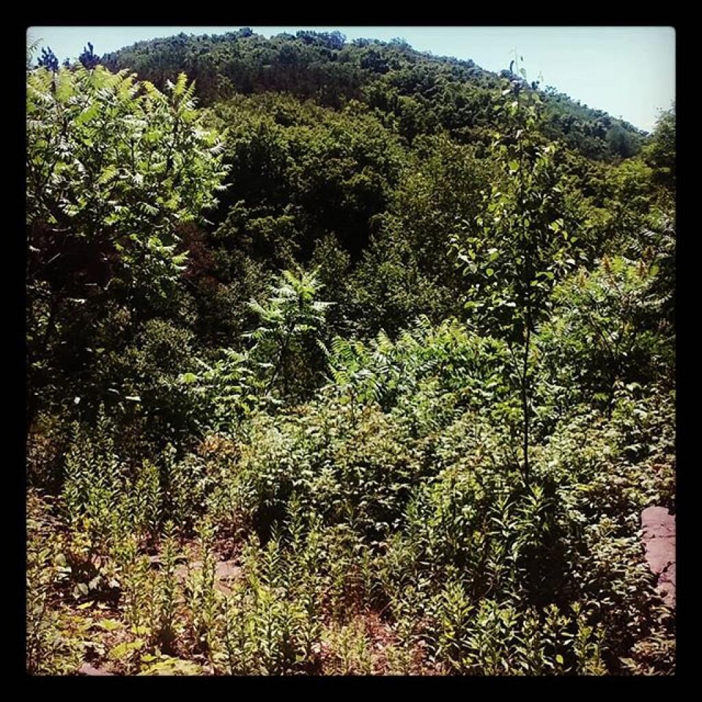 Photo: Above the gravel pit