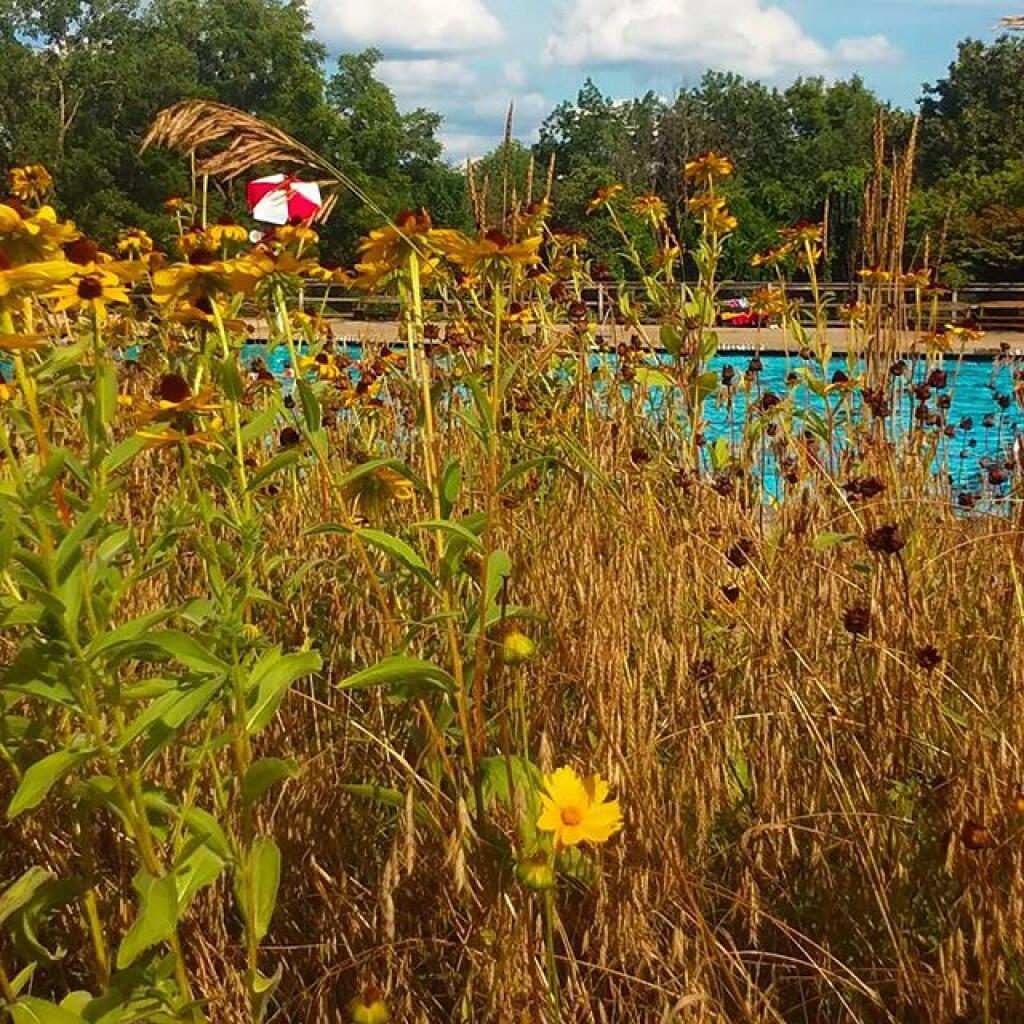 Photo: Swim time