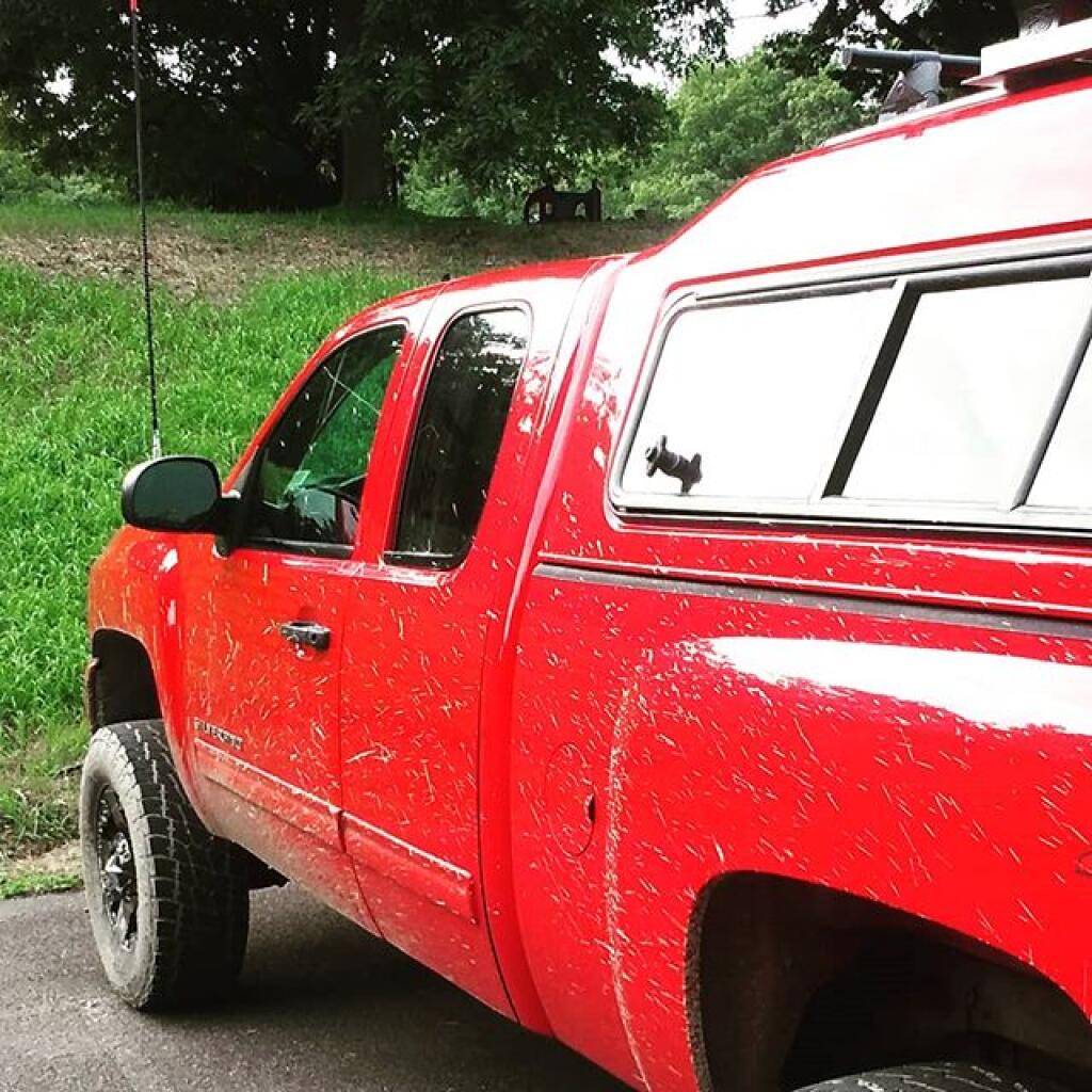 Photo: Big Red is getting muddy from the National Forest