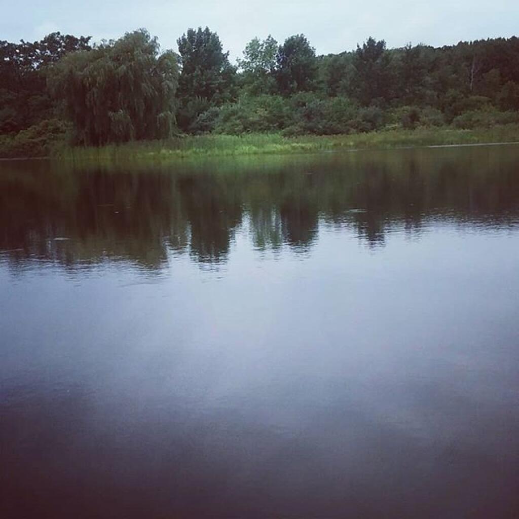 Photo: Foster Pond Photo: Foster Pond