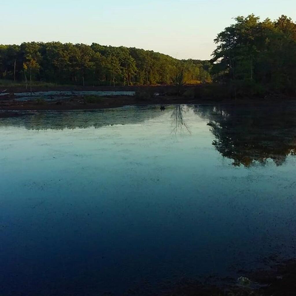 Photo: Teeter Pond is drained during dam work