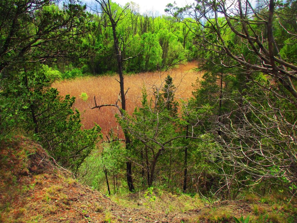 Photo: Clay Pit Photo: Clay Pit