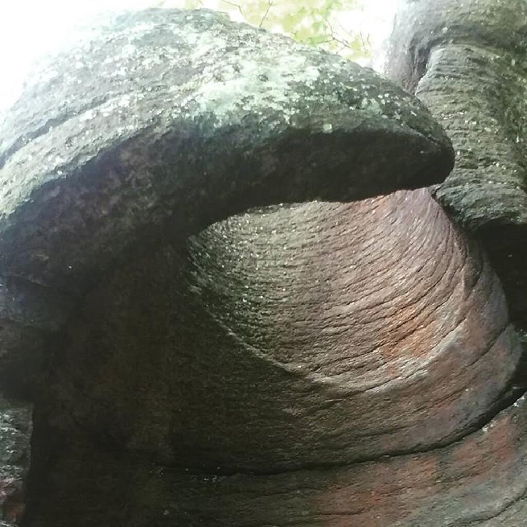 Photo: Broken circle