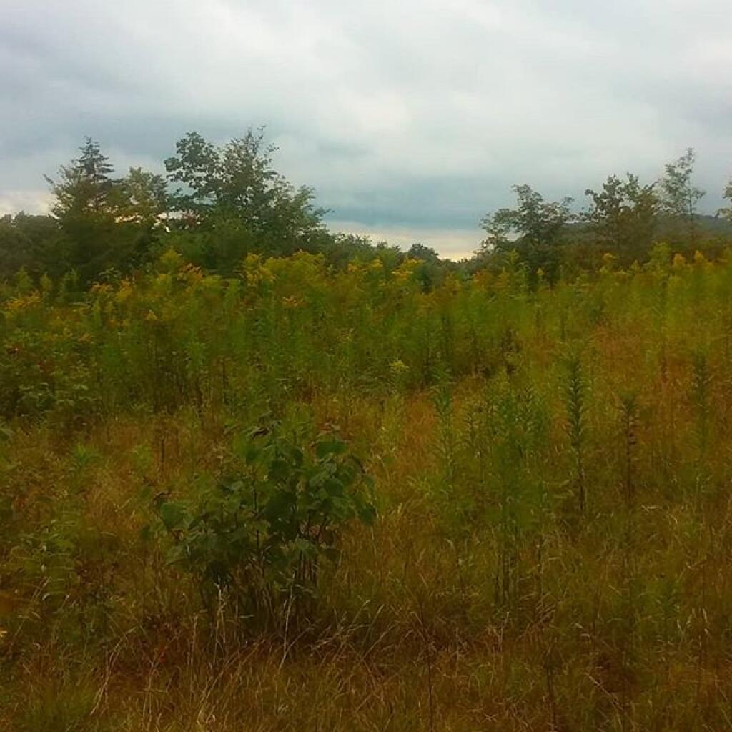 Photo: Now if that front only pushed north Photo: Now if that front only pushed north