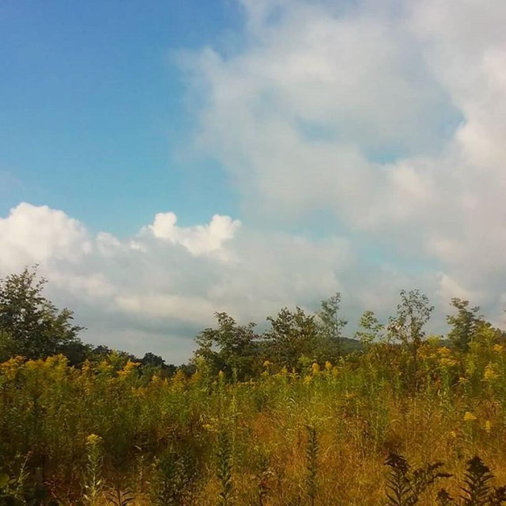 Photo: Hammock View Photo: Hammock View