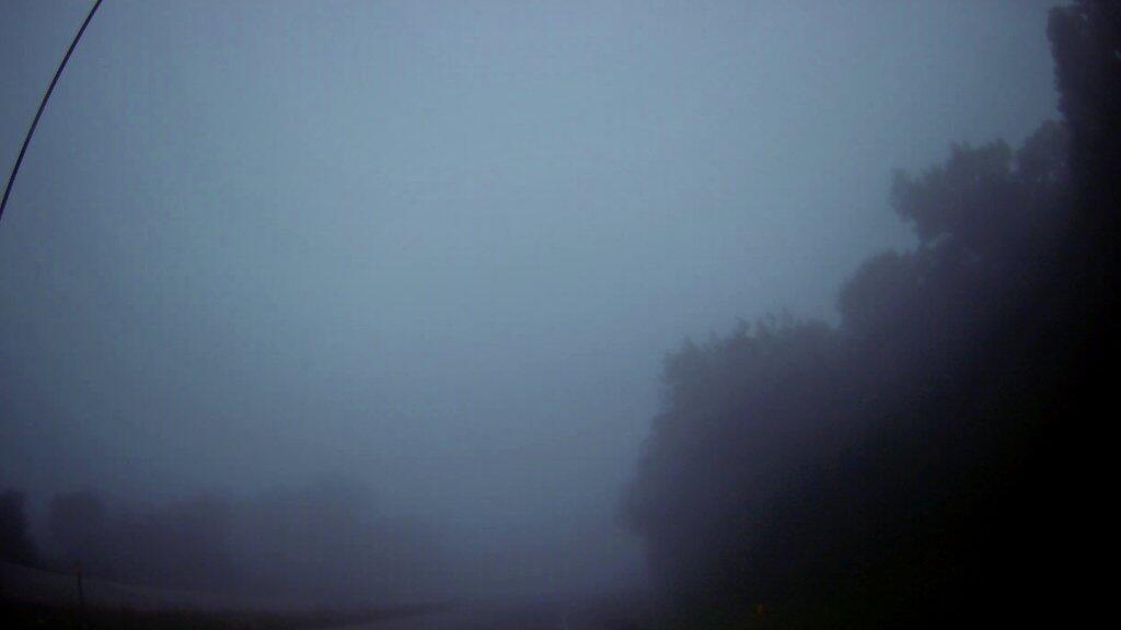 Photo: Foggy