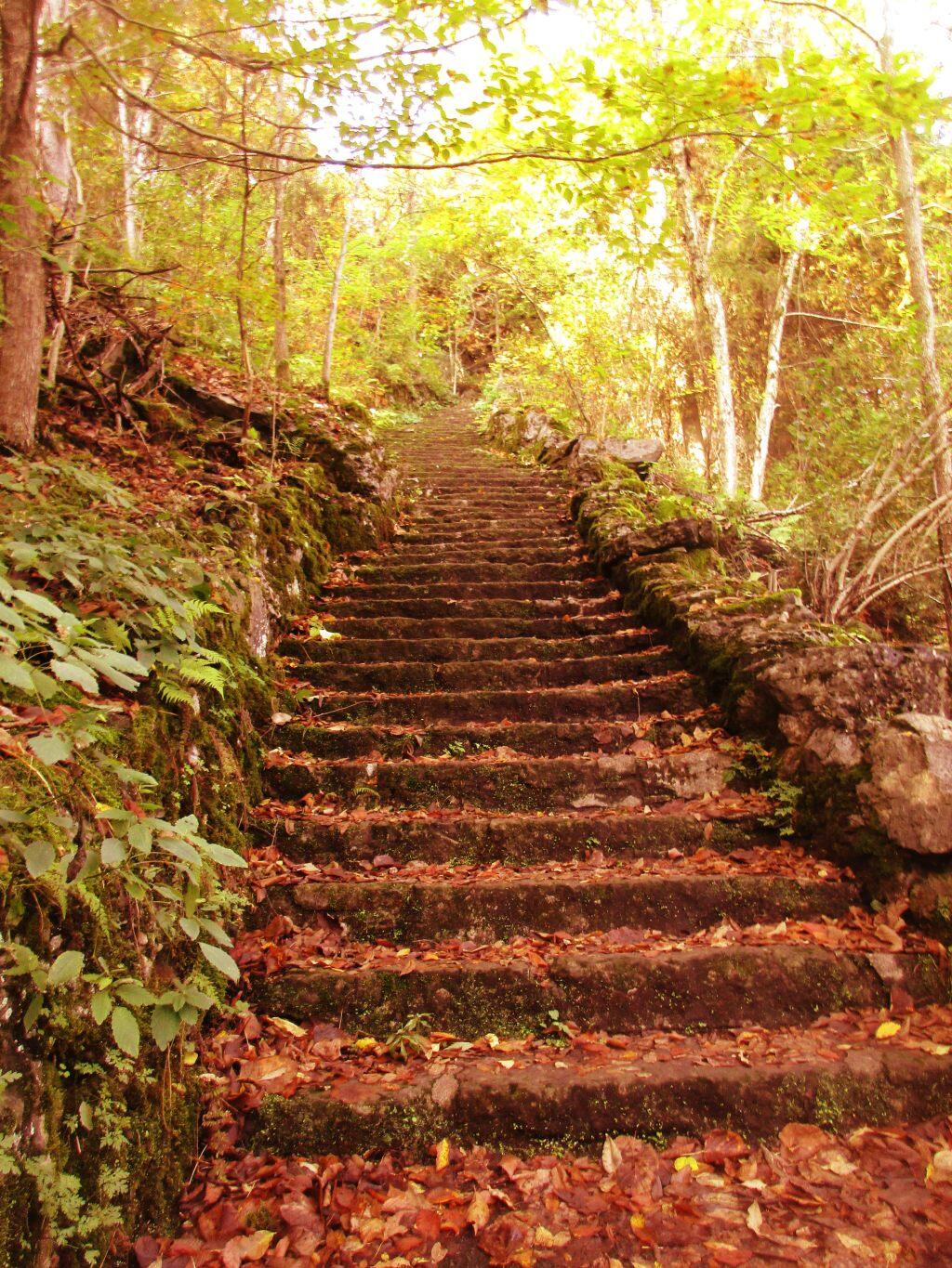 Photo: So Many Stairs Photo: So Many Stairs