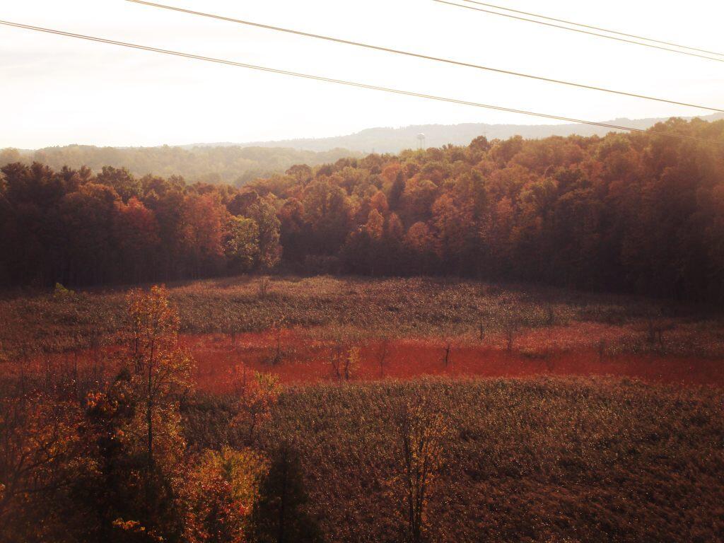 Photo: Wetlands Off Glacial Lake