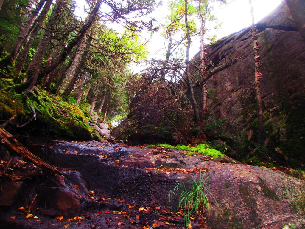 Photo: Steep Climb to the Top