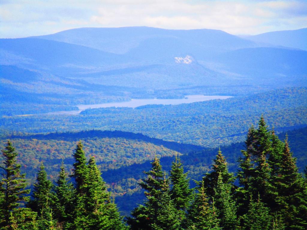 Photo: Cedar River Flow