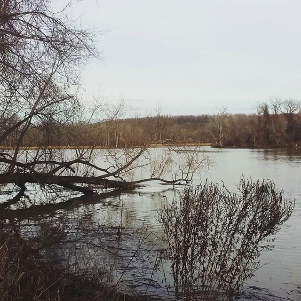 Photo: Schodack Creek Photo: Schodack Creek