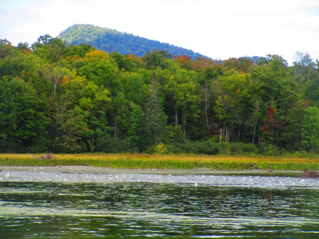 Photo: Irondequoit Mountain Photo: Irondequoit Mountain