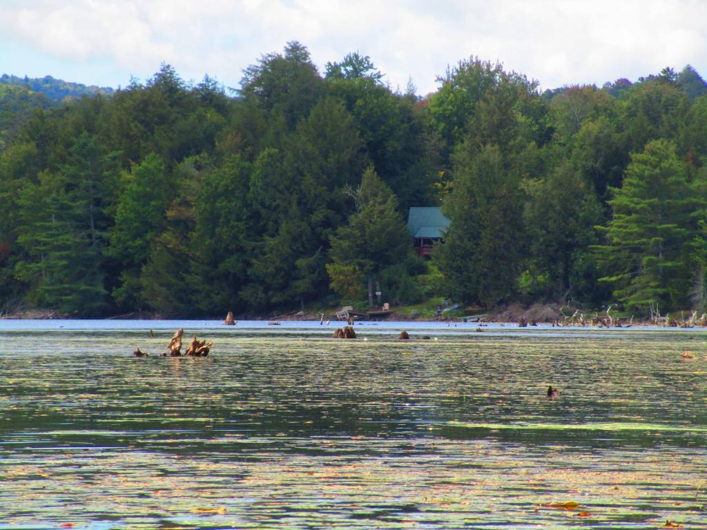 Photo: Cabin Photo: Cabin