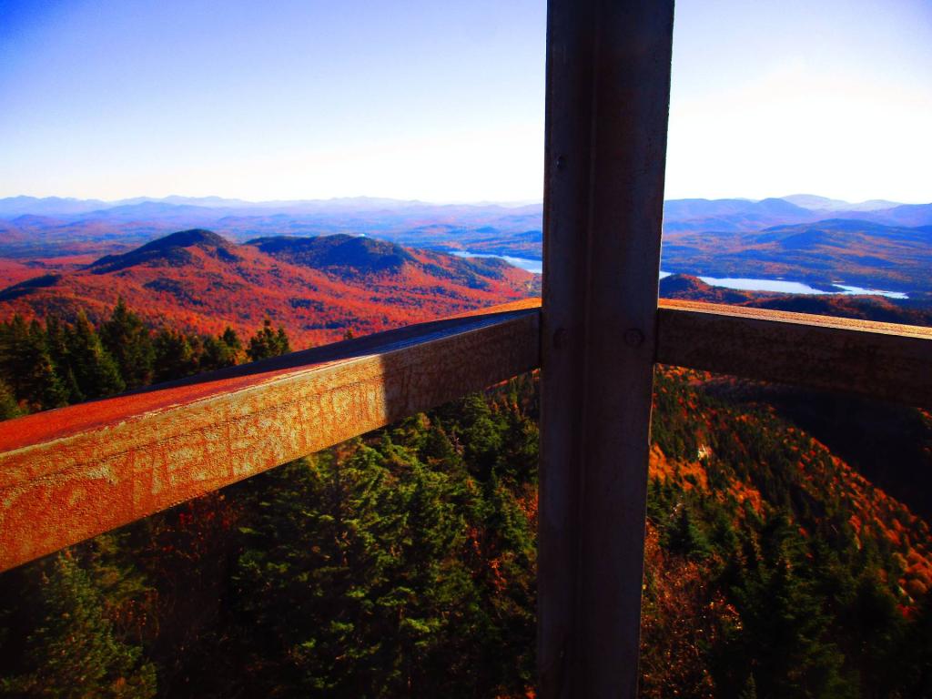 Photo: Lattice Photo: Lattice