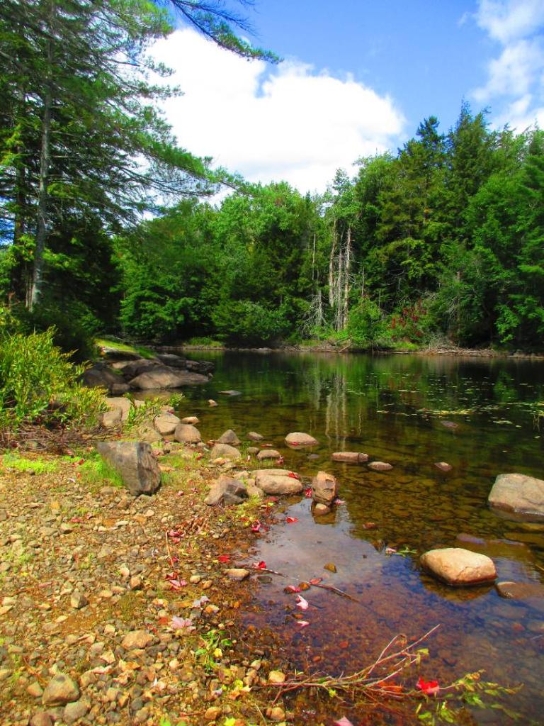 Photo: Shoreline Photo: Shoreline