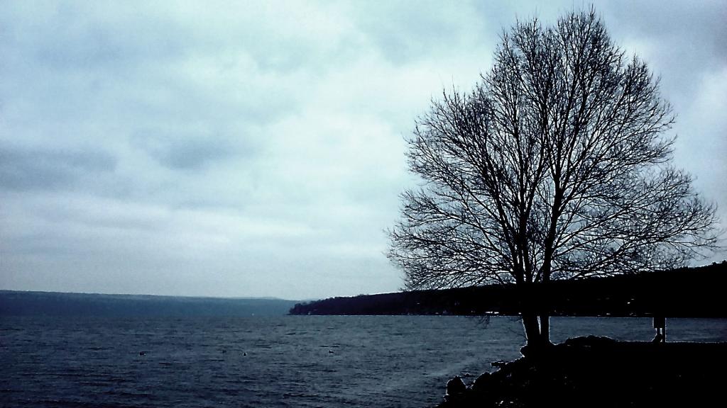 Photo: Cold and gray December day on Cayuga Lake