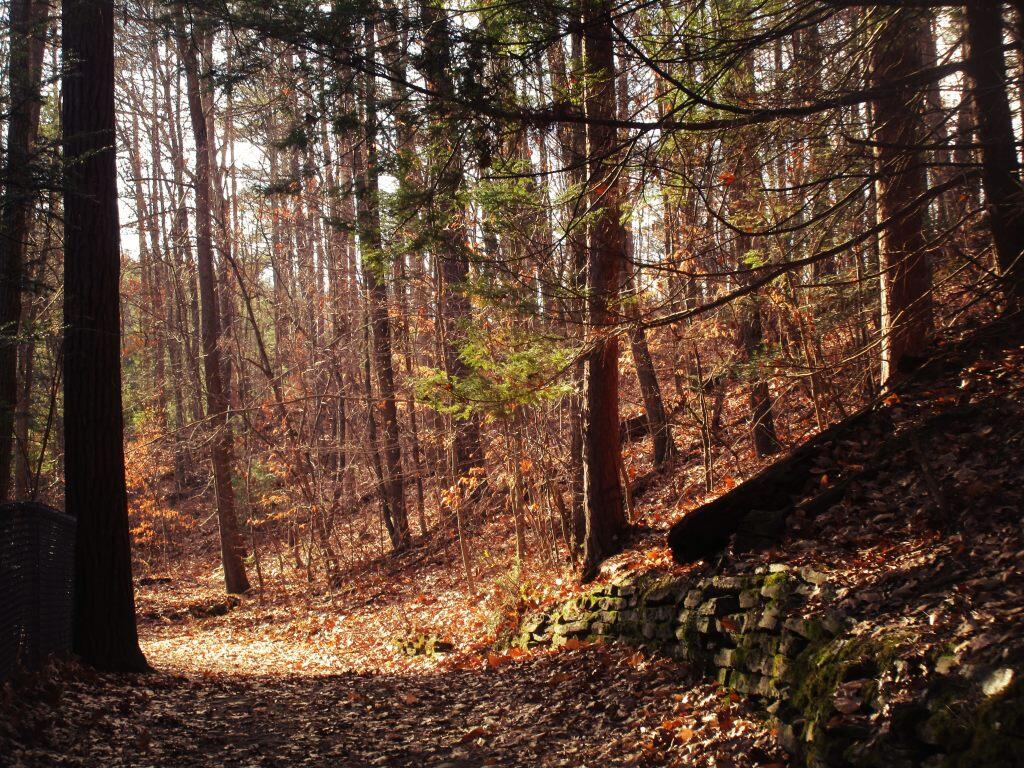 Photo: Rim Trail