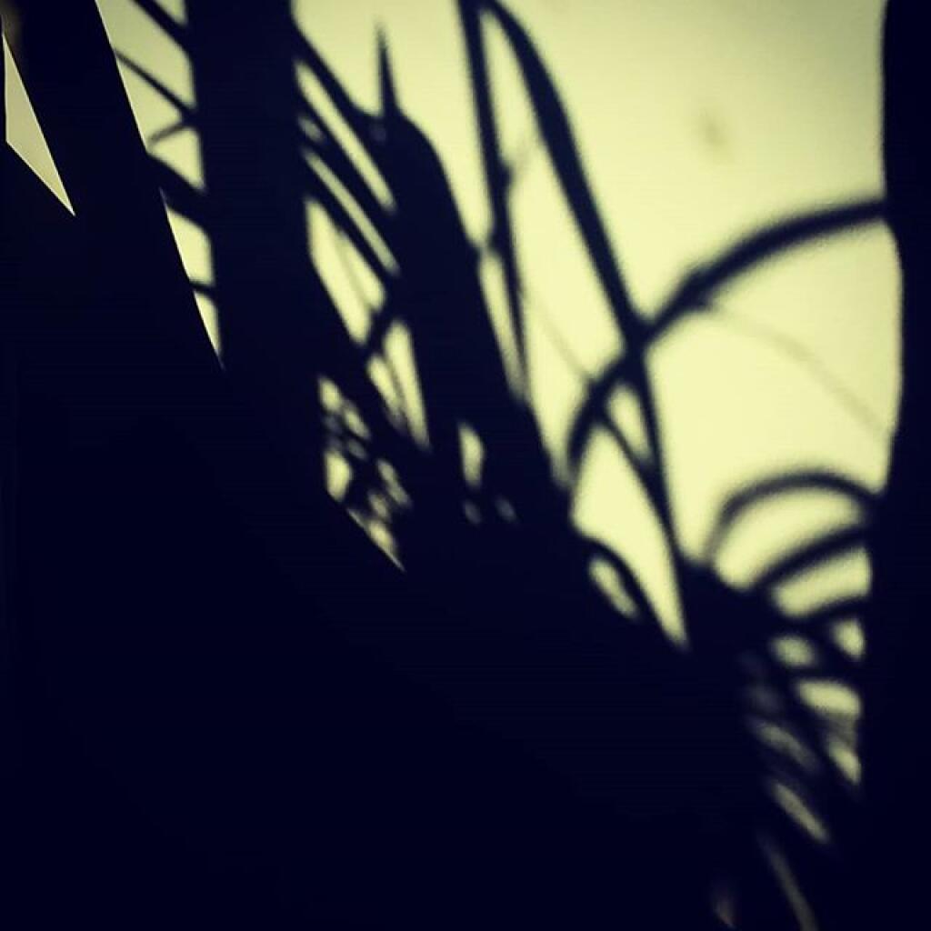 Photo: Shadow Photo: Shadow