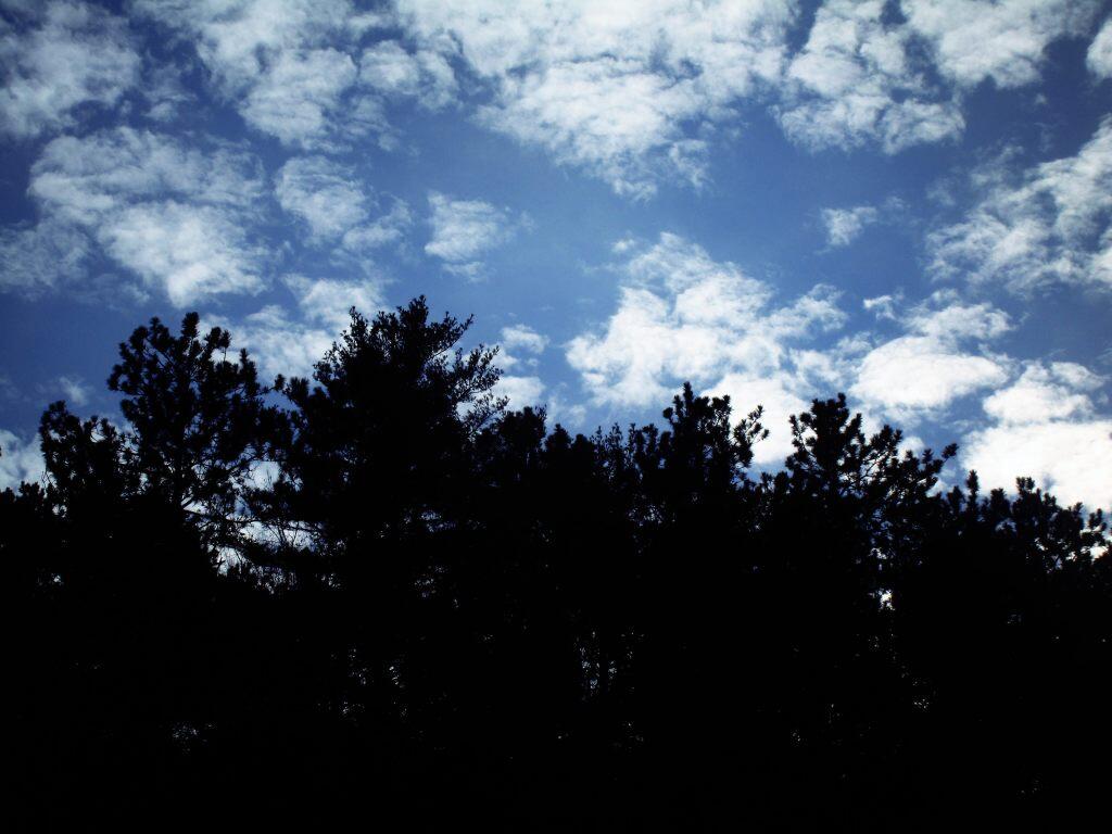 Photo: Some Clearing
