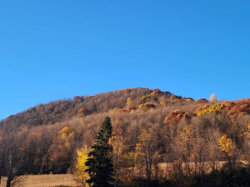 Photo: Hills fading [Expires November 6 2026]