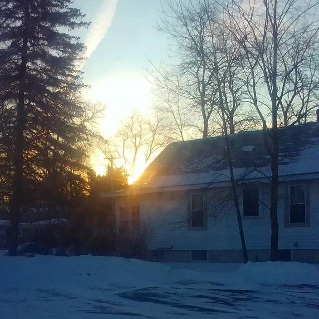 Photo: Cold morning Photo: Cold morning
