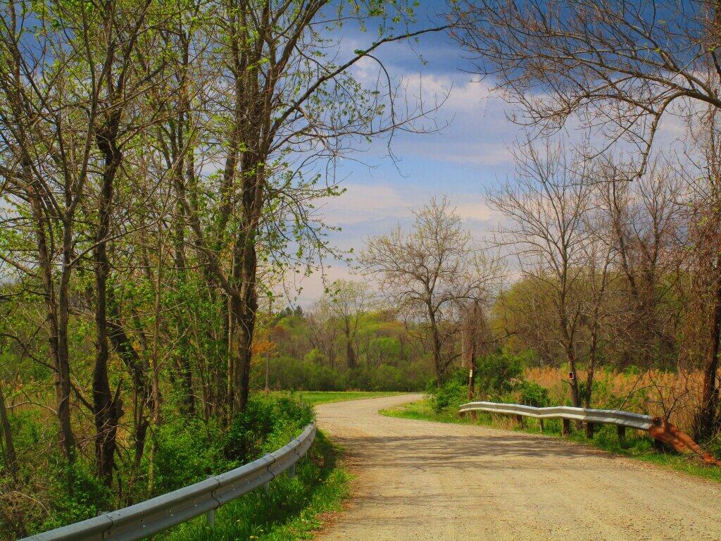 Photo: Staats Island Road