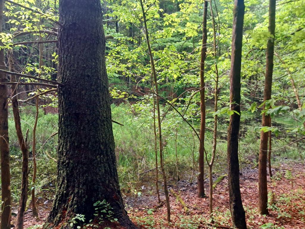 Photo: Untitled Photo: Untitled