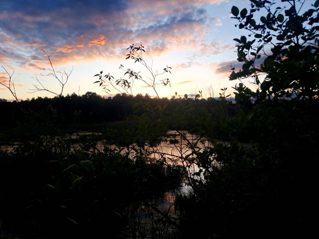 Photo: The Marsh [Expires June 11 2026]
