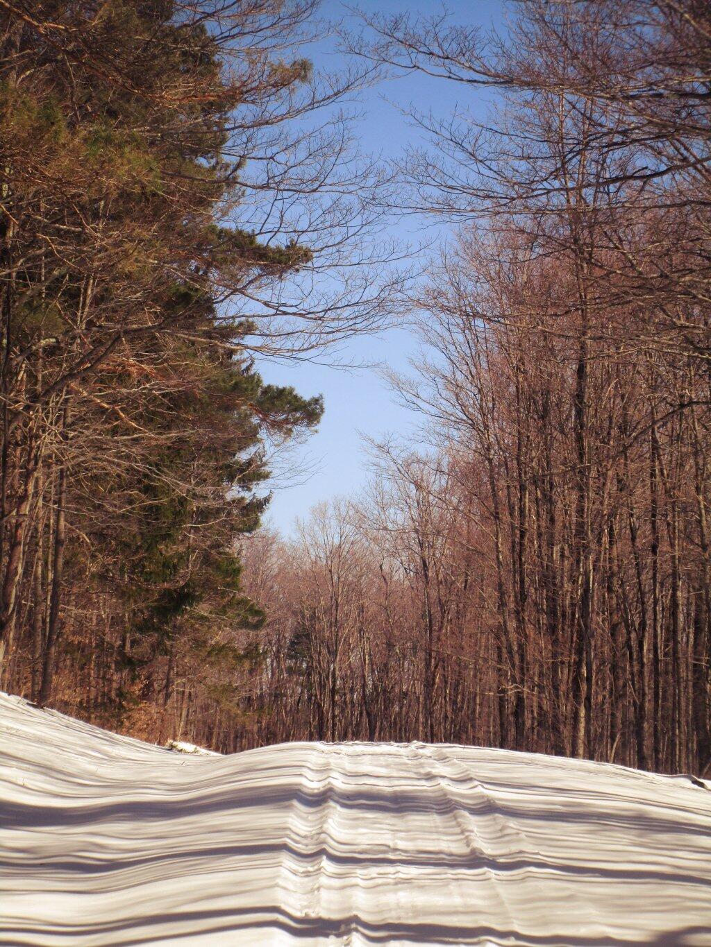 Photo: Great Base For Skiing On