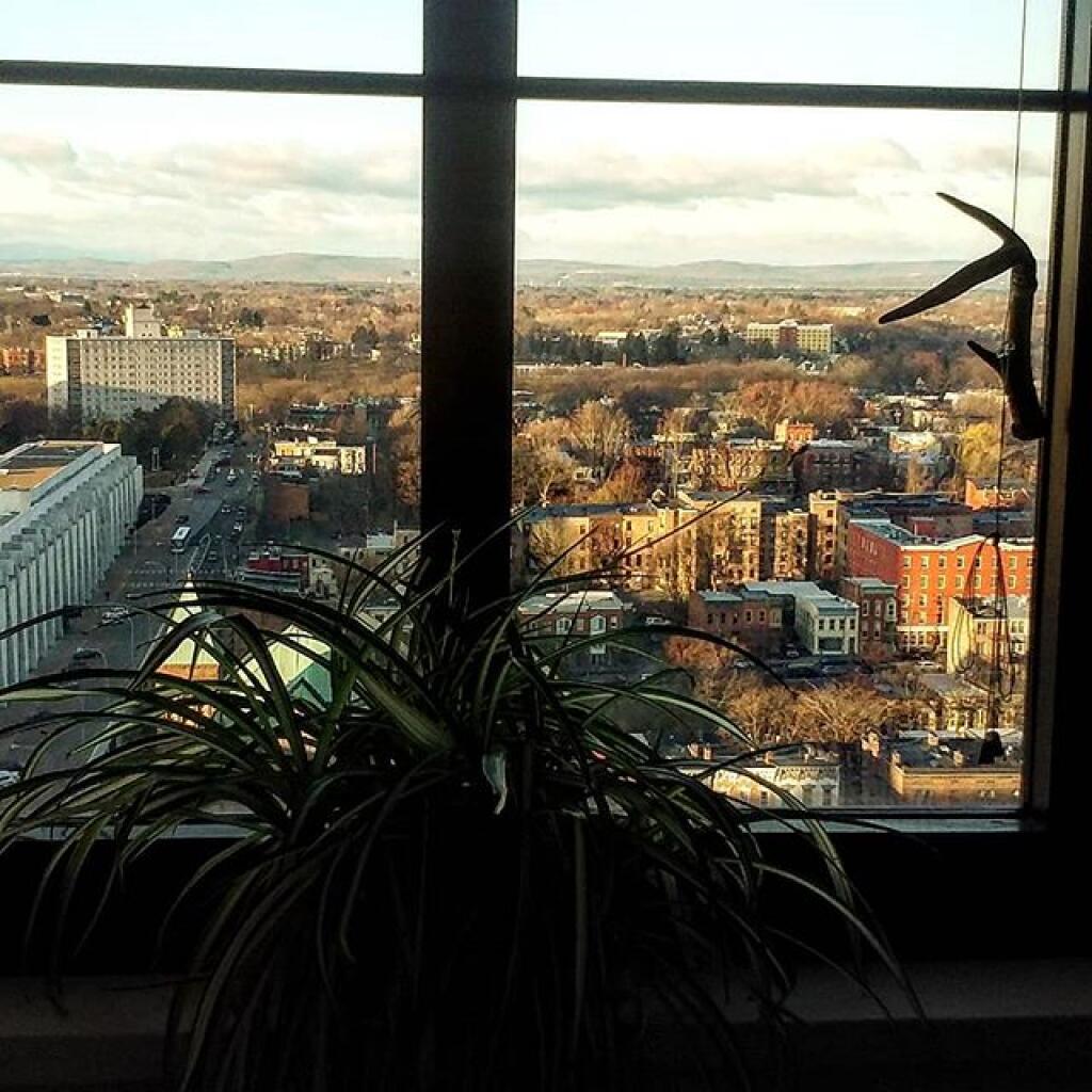 Photo: Pretty morning today Photo: Pretty morning today