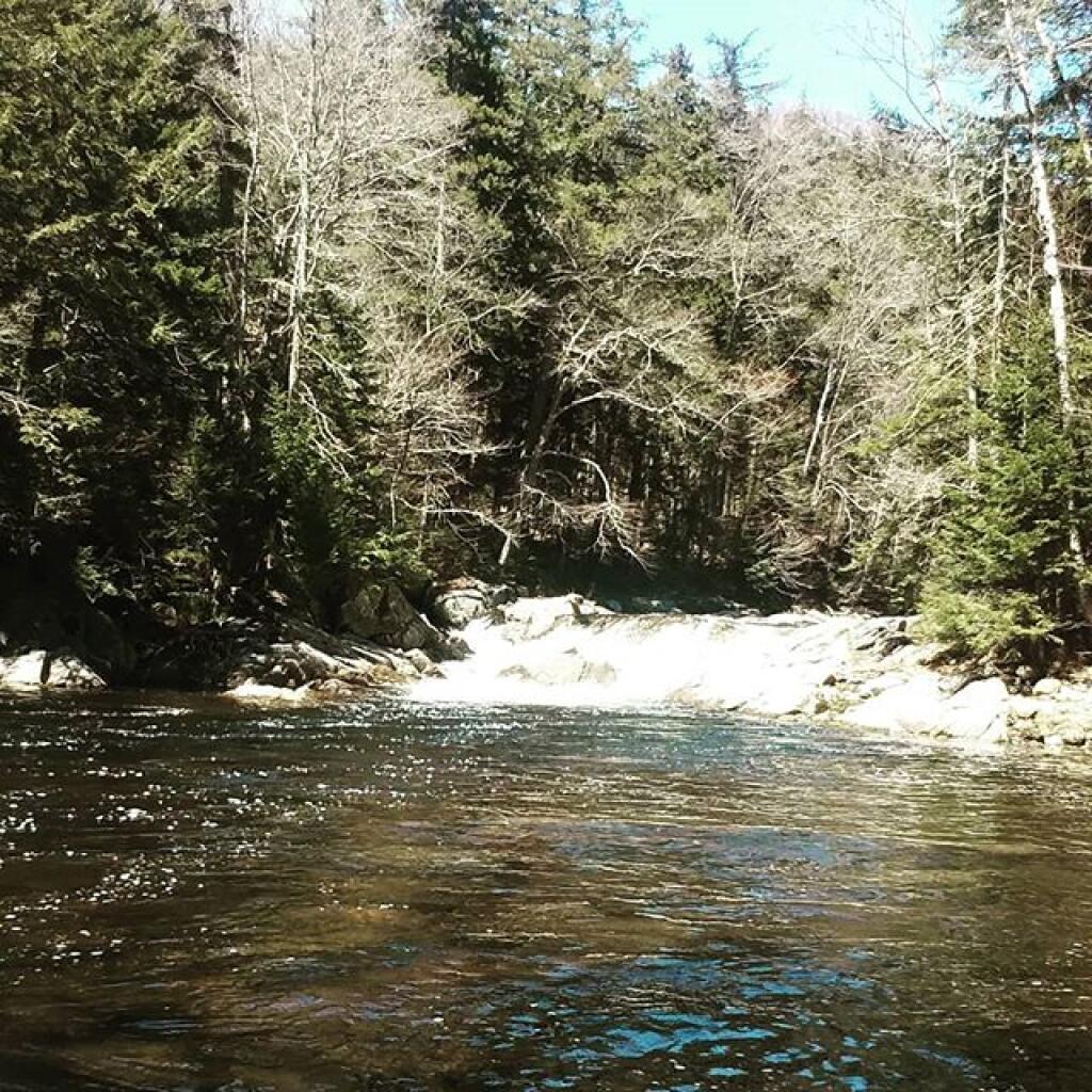 Photo: I hiked a mile back in the wilderness on an unmarked trail for this?