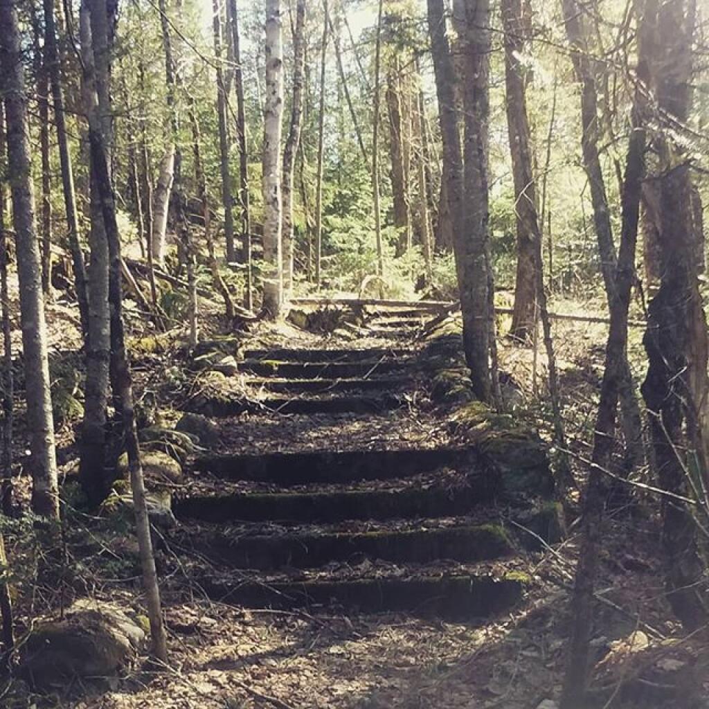 Photo: Old Stair Case at Fox Lair