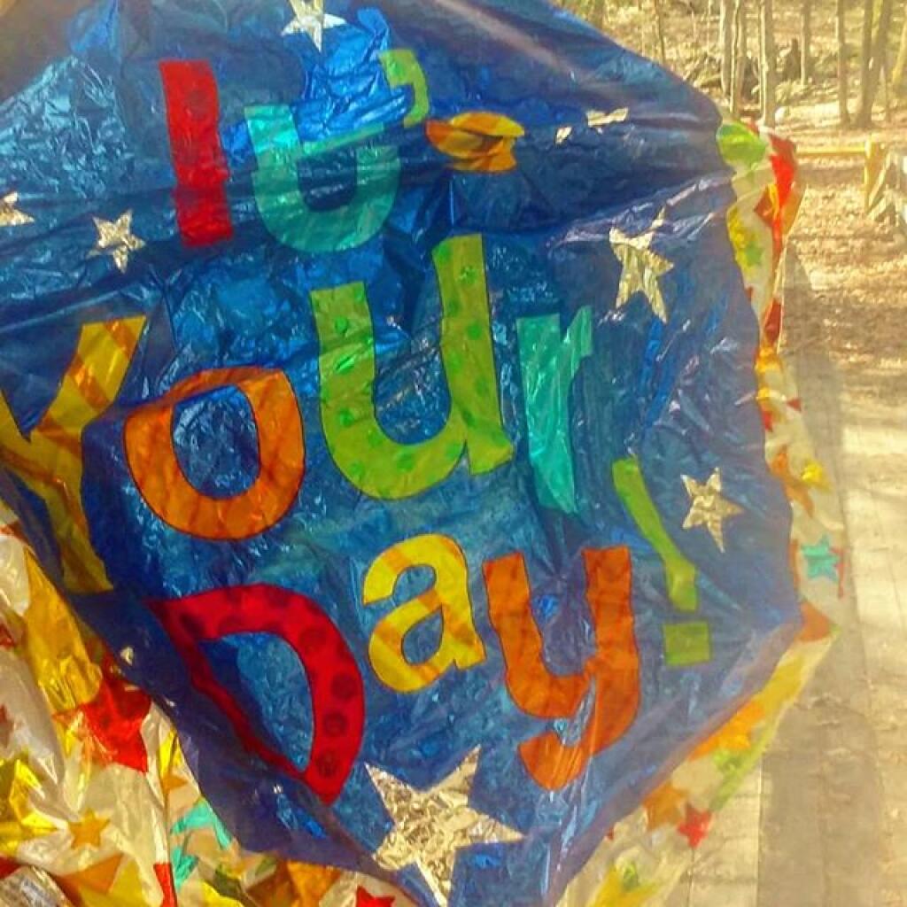Photo: It's your day to litter Photo: It's your day to litter