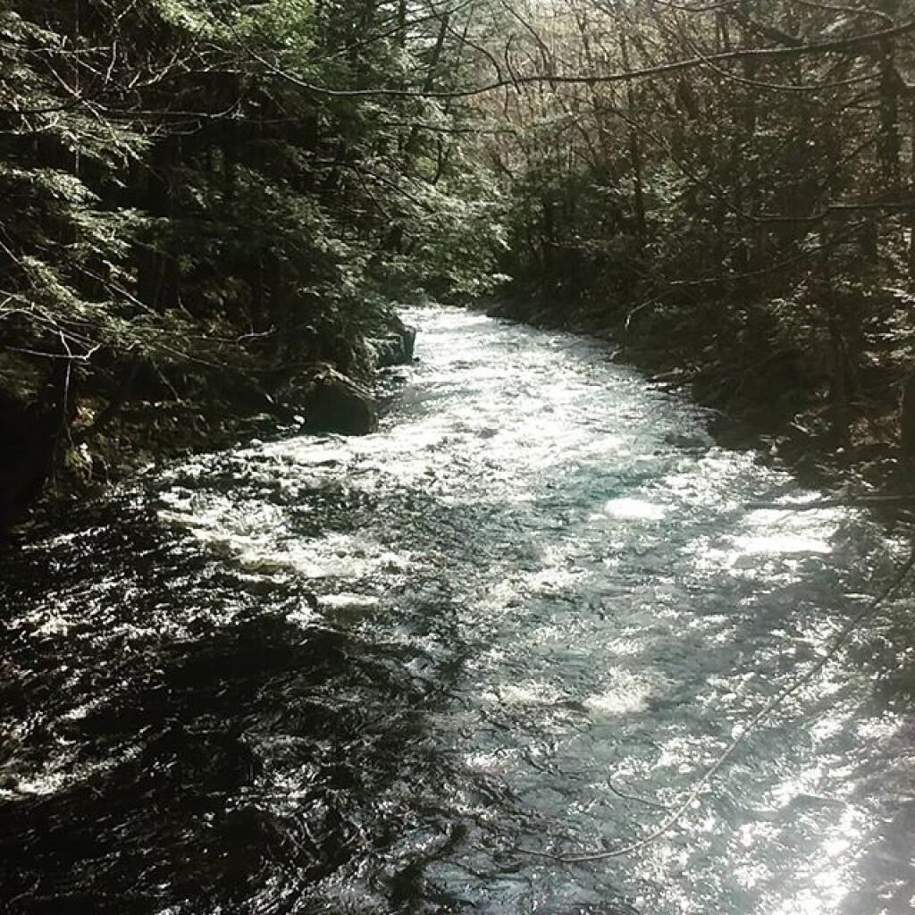 Photo: Middle Sprite Creek Photo: Middle Sprite Creek