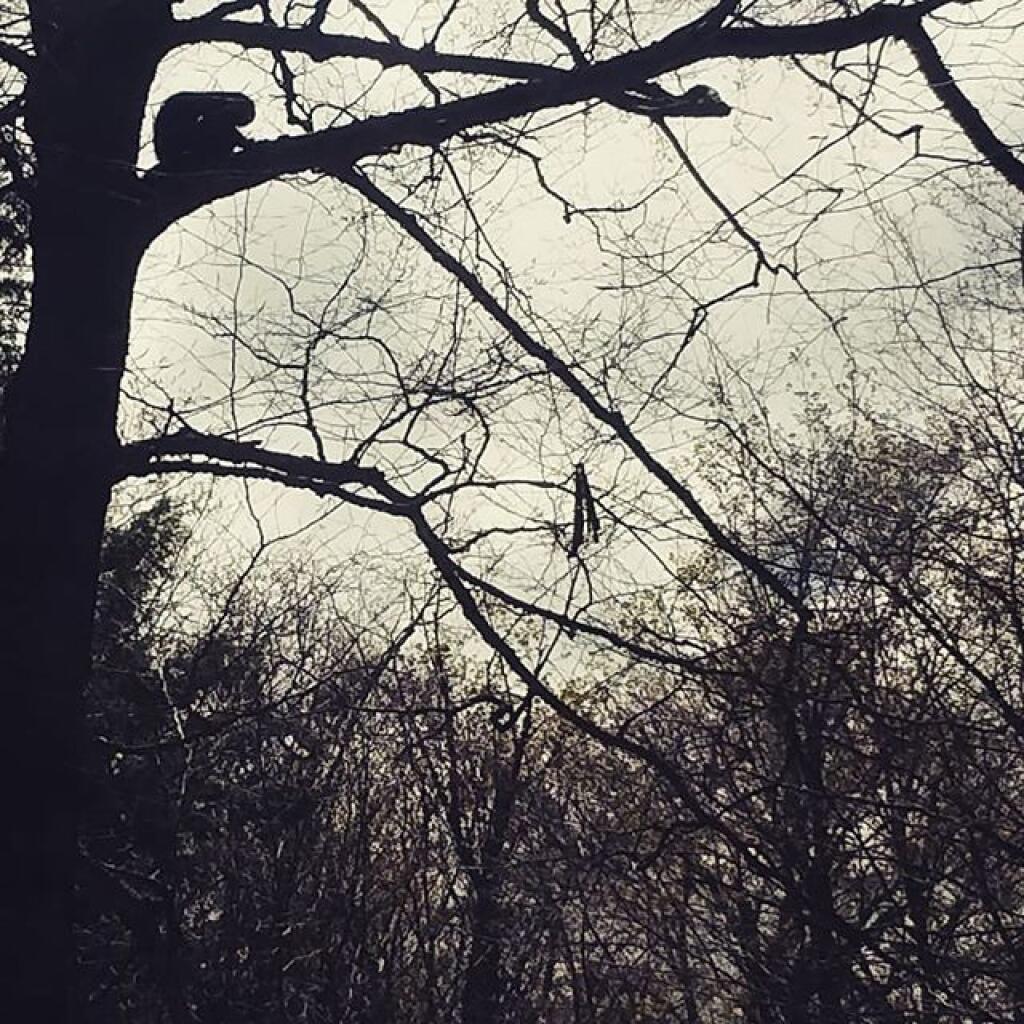 Photo: I bet he has a good view Photo: I bet he has a good view