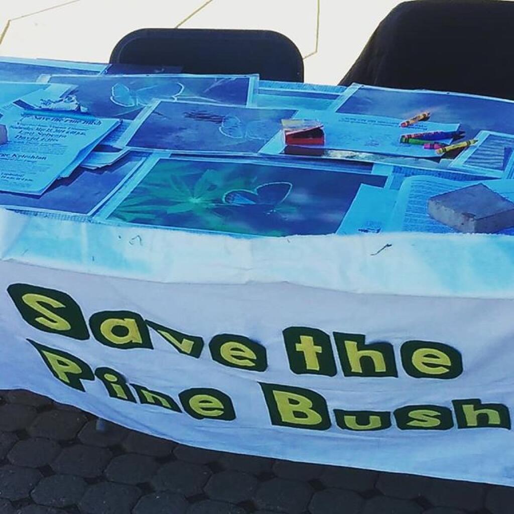 Photo: Save the Pine Bush