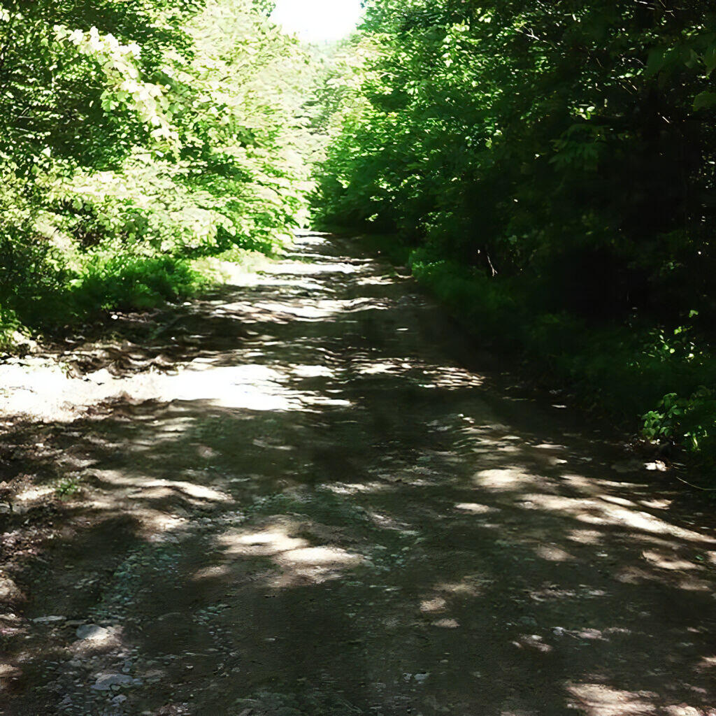 Photo: Duck Pond Road, smooth as a Coors beer or cheap whisky going down Photo: Duck Pond Road, smooth as a Coors beer or cheap whisky going down