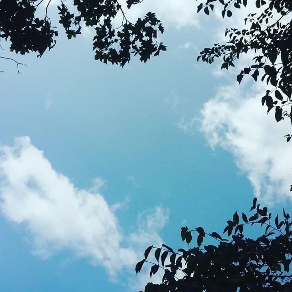 Photo: Watching the world float by