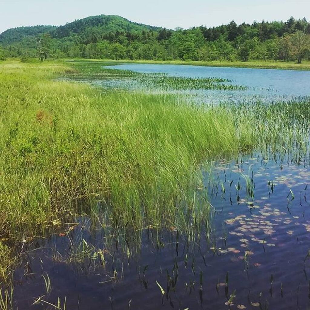Photo: Kunjamunk Mountain