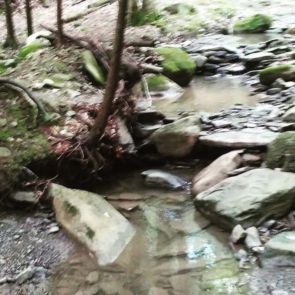 Photo: Gorge