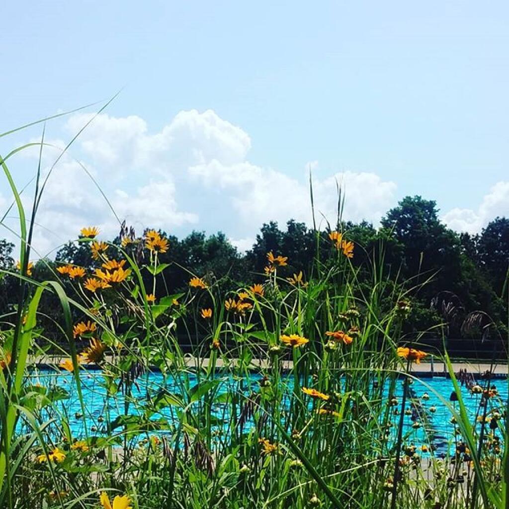 Photo: Definitely a nice day